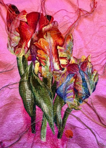 6 Suzy Wright, ,Parrot Tulip (1)