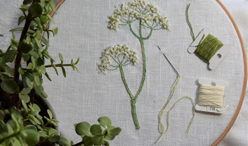 Fi Oberon:Contemporary Hand Embroidery, Cow Parsley Motif